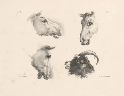 Drie Paardenhoofden En Een Geitenkop