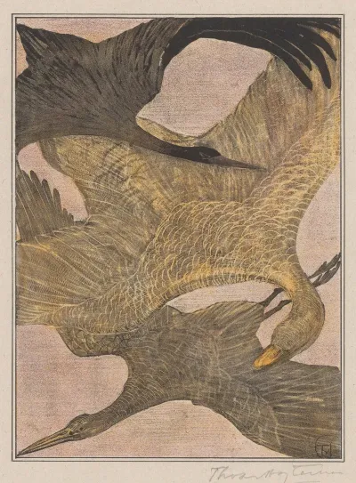 Drie Vliegende Vogels 2