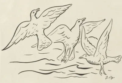 Drie Vogels In De Lucht
