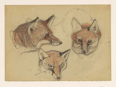 Drie Vossenkoppen