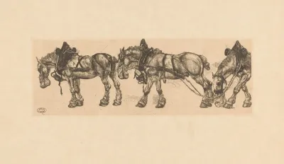 Drie Werkpaarden Met Haverzak