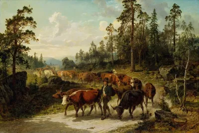 Driving Cattle In Smaland