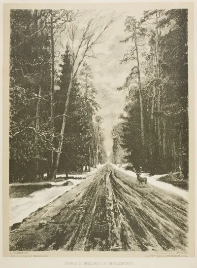 Droga Z Bielska Do Bialowiezy