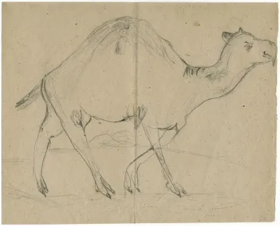 Dromedary 2