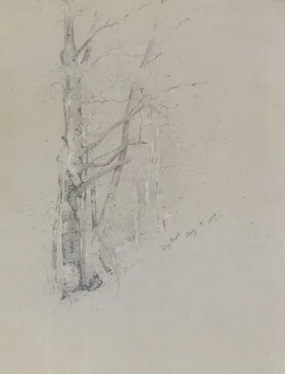 Dry Brook