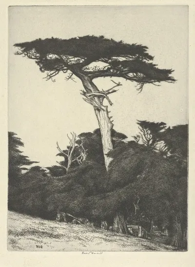 Dryads Parasol