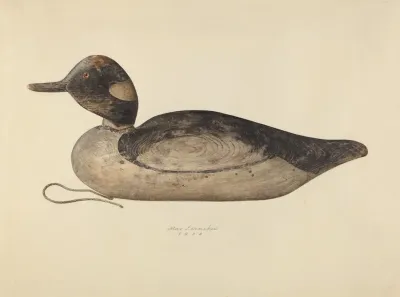 Duck Decoy