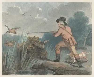 Duck Shooting 6