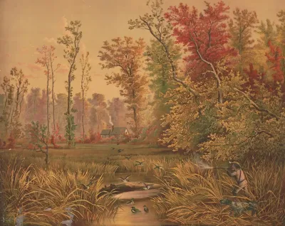 Duck Shooting In Indiana