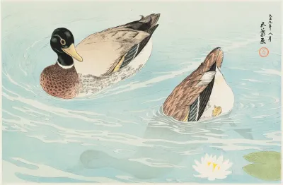 Ducks 10