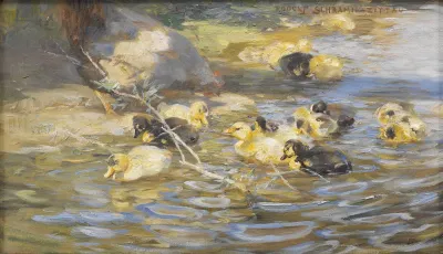 Ducks 7