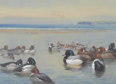 Ducks Along The Shoreline