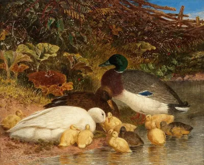 Ducks And Ducklings By A Pond