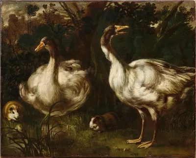 Ducks And Guinea Pigs