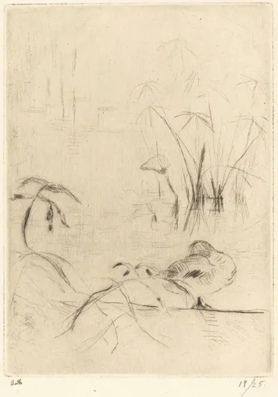 Ducks At Rest On The Bank