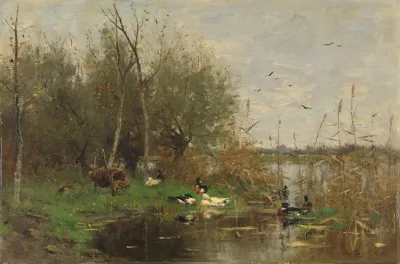 Ducks Beside A Duck Shelter On A Ditch