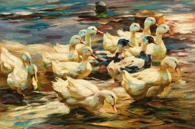 Ducks Getting Out Of The Water