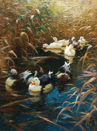 Ducks In Autumn Reeds
