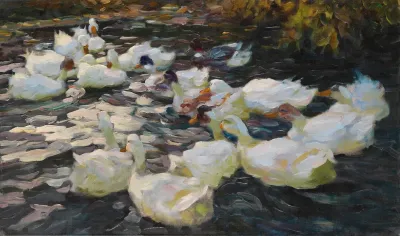 Ducks In The Evening Sun