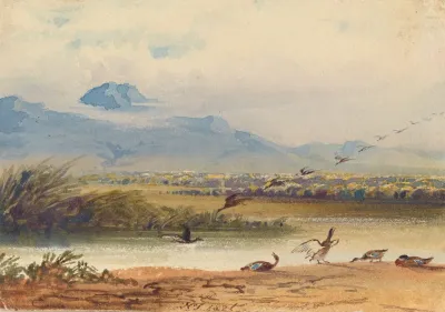 Ducks Landing On A River