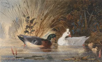 Ducks On A Pond 2