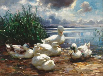 Ducks On Lake Chiemsee In A Brewing Storm