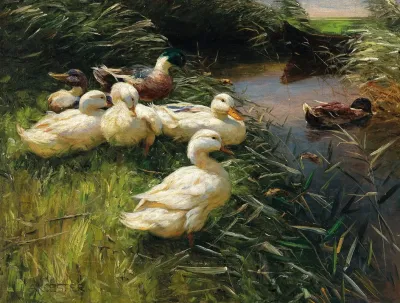 Ducks On The Lakeside In Reeds With A Boat
