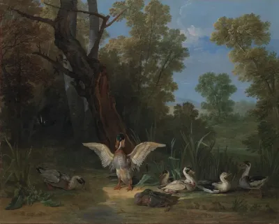 Ducks Resting In Sunshine
