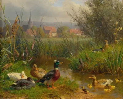 Ducks