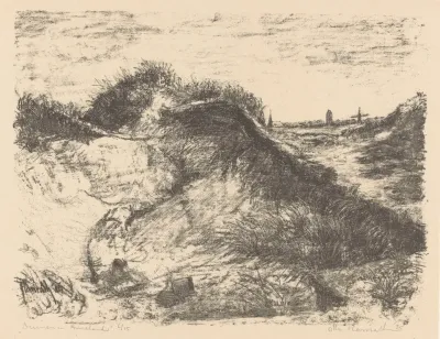 Duinen In Ameland