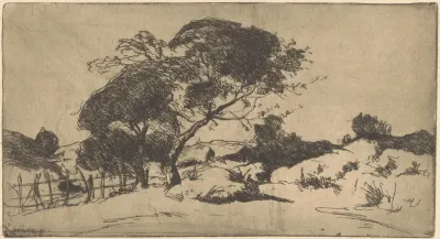 Duinlandschap Bij Den Haag