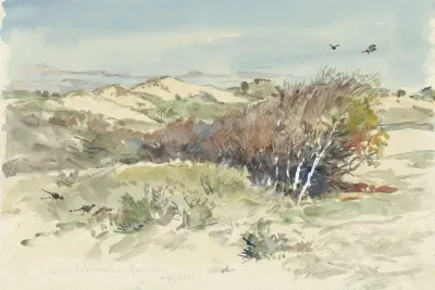 Duinlandschap Tussen Bloemendaal En Ijmuiden 2