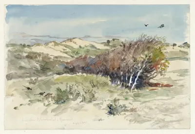 Duinlandschap Tussen Bloemendaal En Ijmuiden