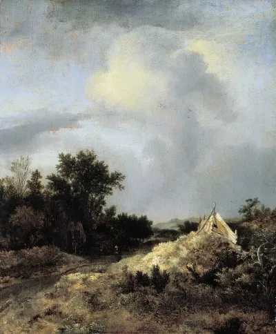Dune Landscape With Fence