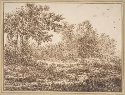 Dune Landscape With Trees