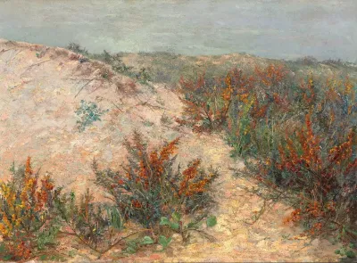 Dunen Mit Stranddorn Bei Knokke