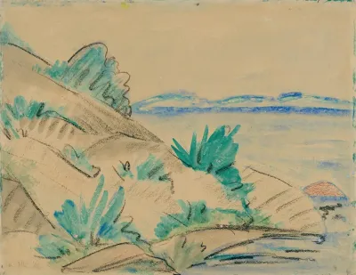 Dunenlandschaft Mit Strauchern