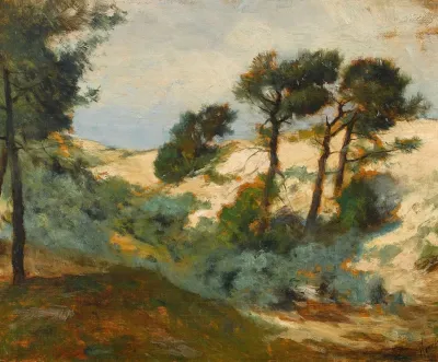 Dunes And Scrub Pine