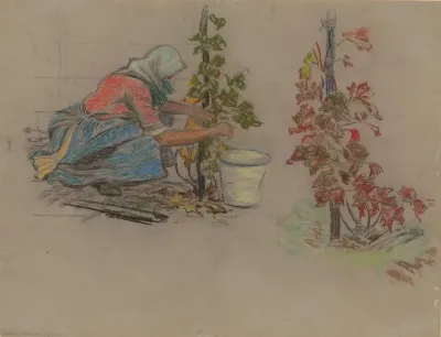 During Harvest