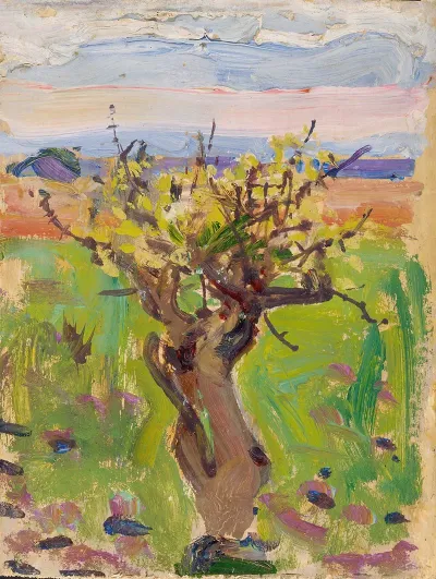 Dwarf Tree In The Desert