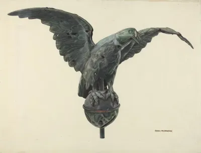 Eagle 11