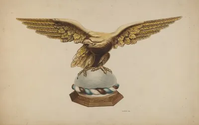 Eagle 29