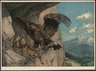 Eagle 3