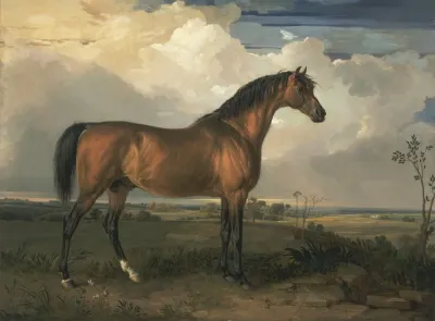 Eagle A Celebrated Stallion