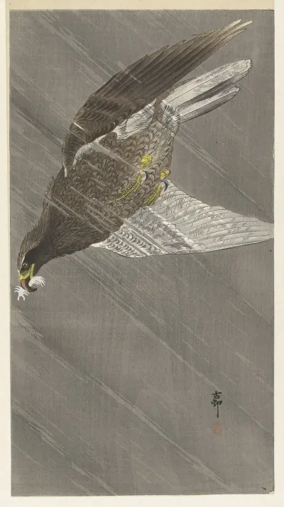 Eagle Flying Down