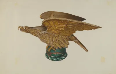 Eagle From Tugboat Wheelhouse
