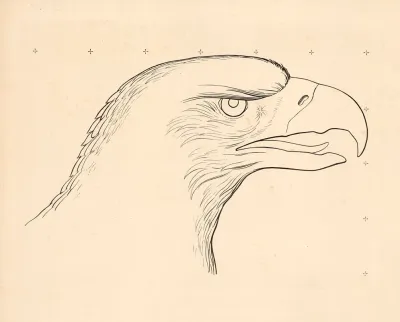 Eagle Head