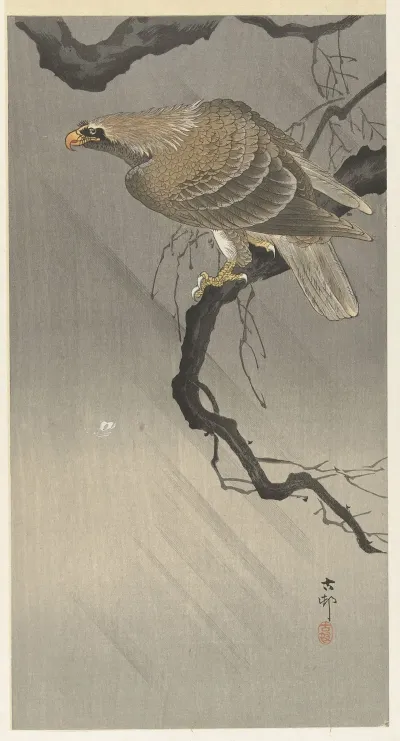 Eagle On Branch