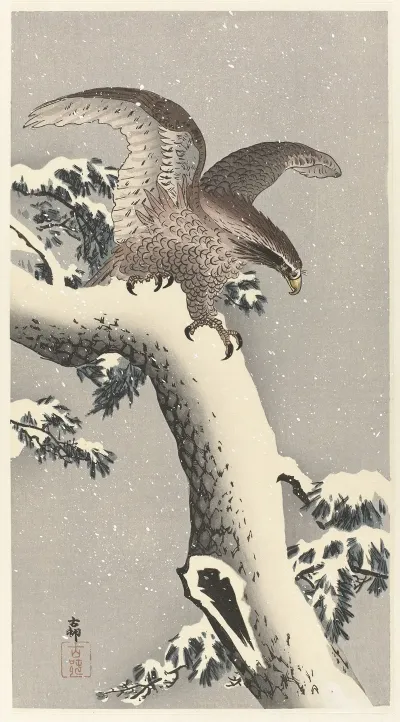 Eagle On Snowy Pine Tree