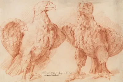 Eagle Two Studies Of An Antique Sculpture Front View Half Turned To The Right And Front View Half Turned To The Left